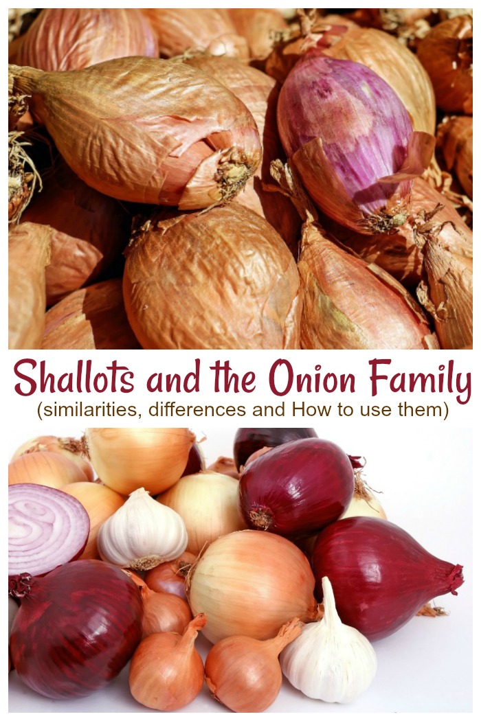 Shallots and other Alliums - How are the same, and different? Click through to find out