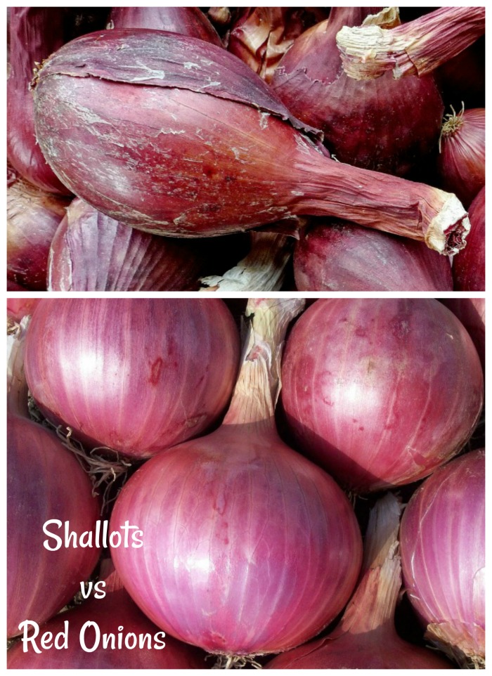 Shallots vs Red Onions