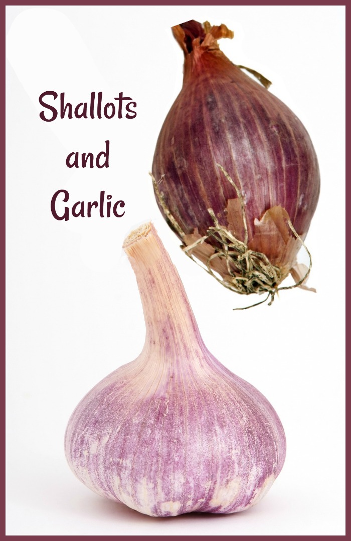 Shallots and garlic differences and similarities