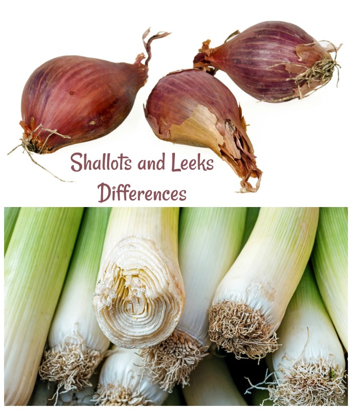 Shallots vs Leeks - Differences and Similarities
