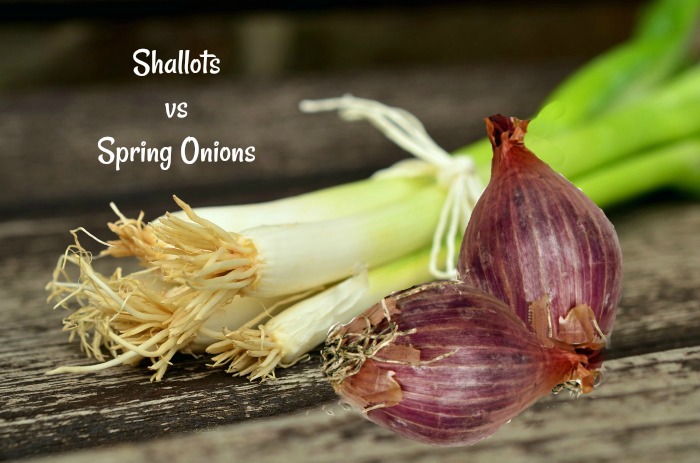 How do shallots and spring onions differ?