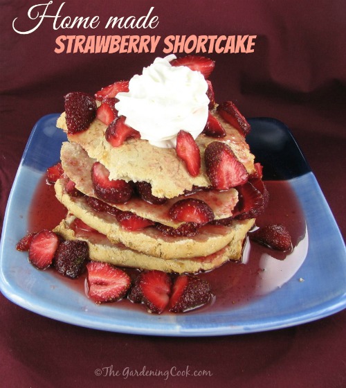 Strawberry Shortcake with Whip Cream Topping