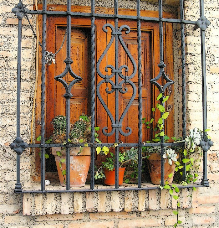Succulents can grow outdoors, too.