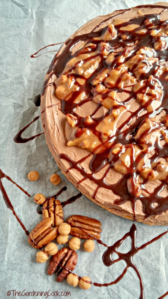 Turtle Chocolate Pumpkin Cheesecake