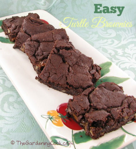 Easy Turtle Brownies