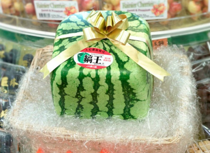 Japanese square watermelon novely