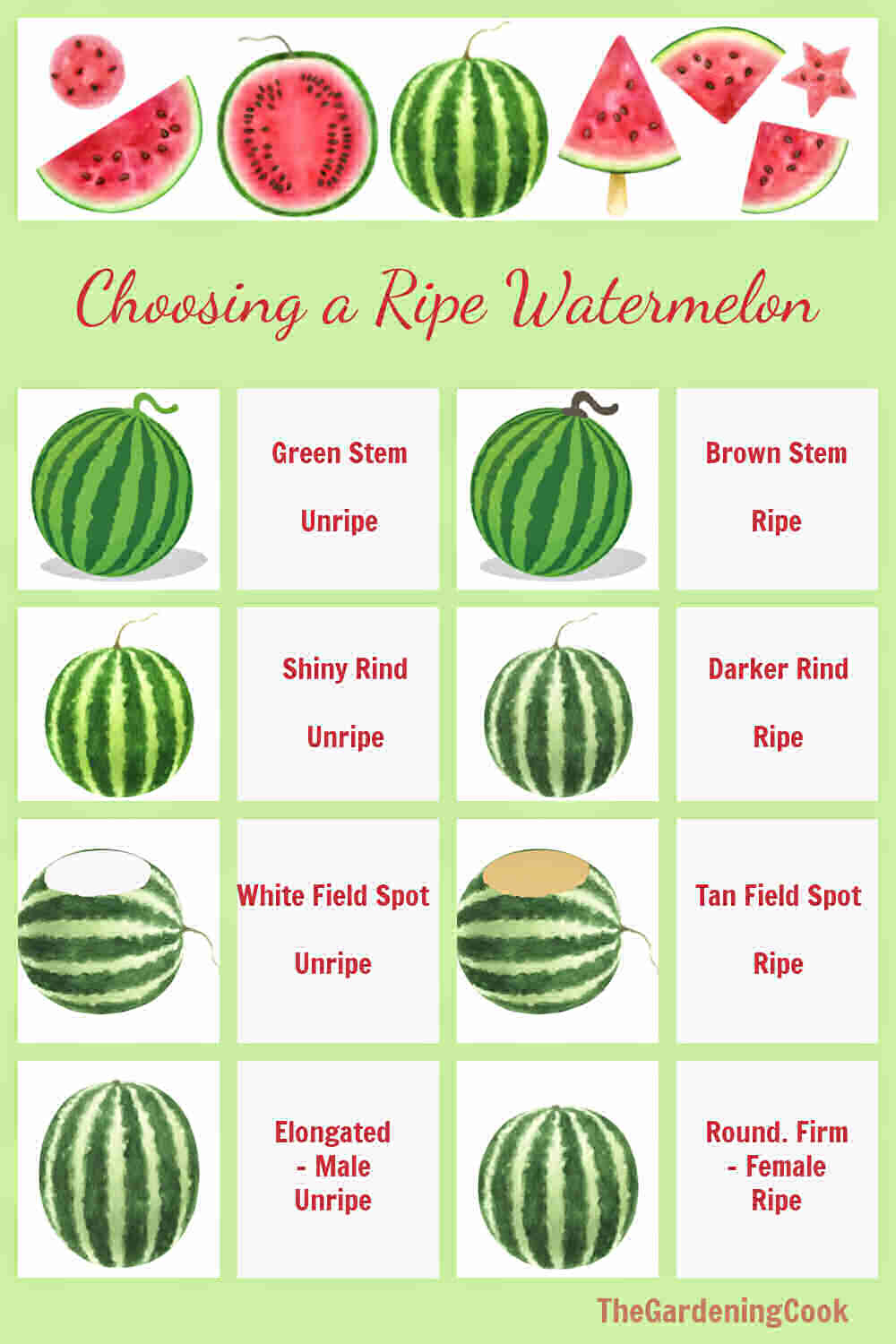 Chart with types of watermelons showing how to choose a ripe watermelon.