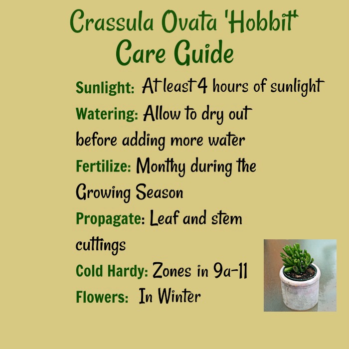 Hobbit jade care card