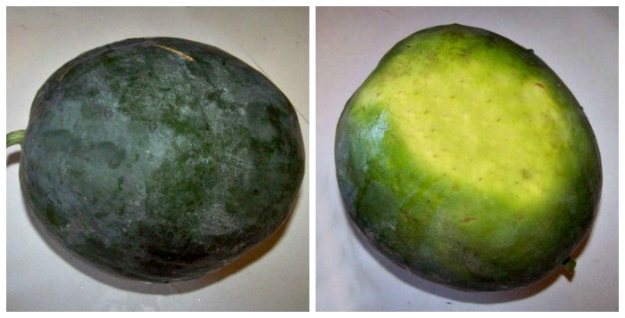 A ripe watermelon has a yellow spot on the bottom