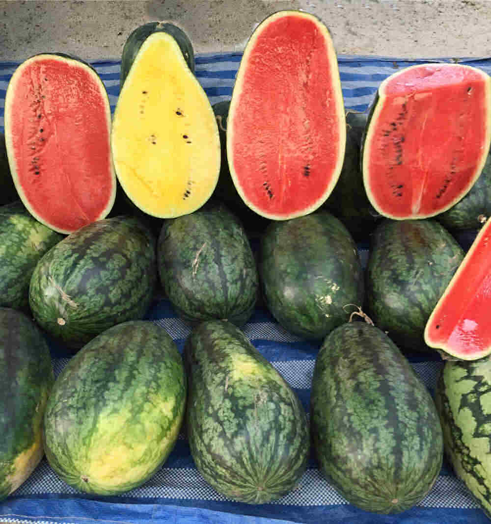Cut watermelon with different colored flesh.