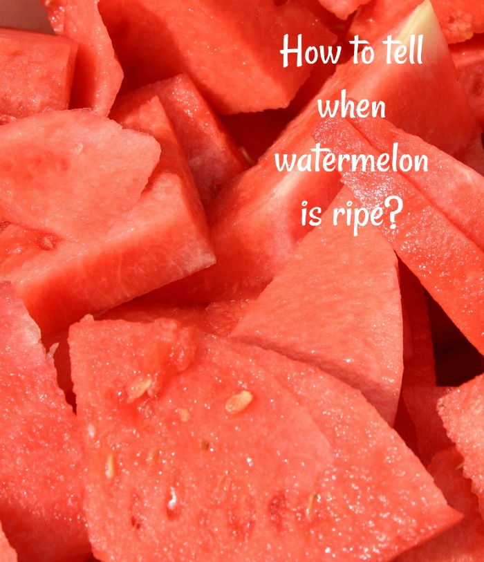 How to tell when watermelon is ripe