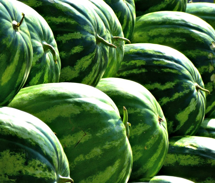 Watermelon season runs from May to September