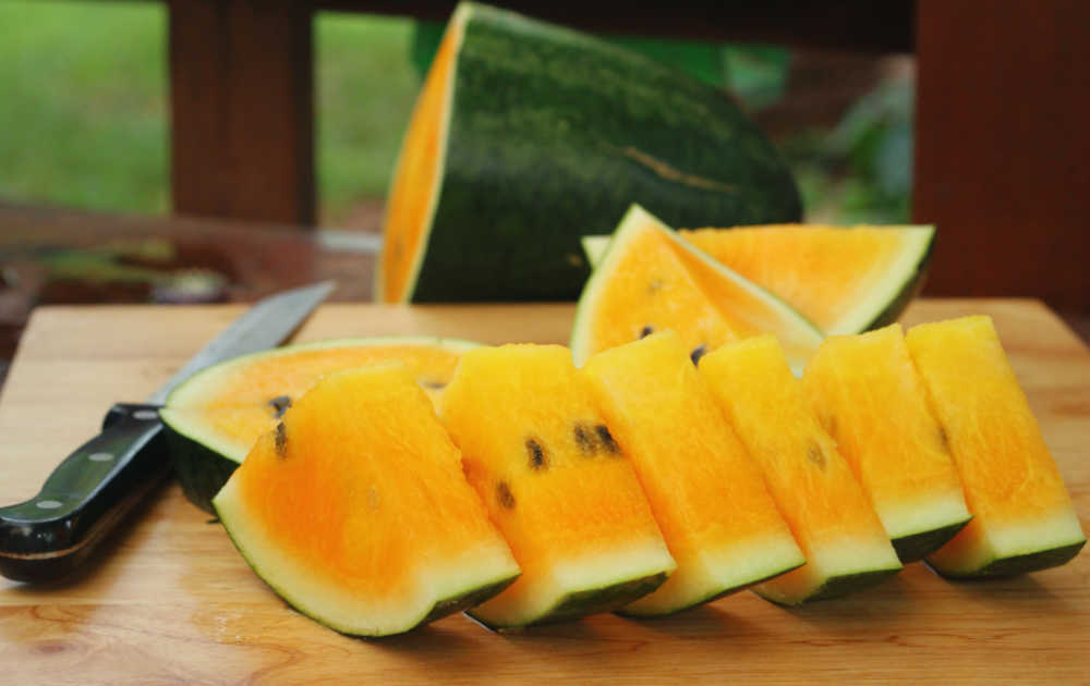 Yellow flesh watermelon cut into pieces with a sharp knife.