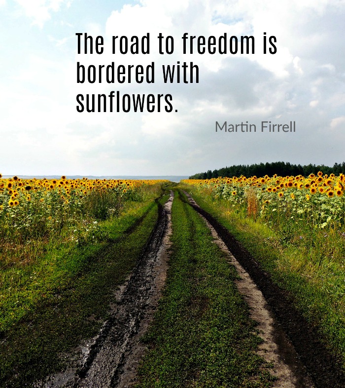Road Sunflowers quote by Martin Firrell.