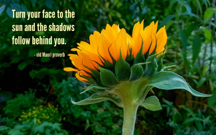 Turned sunflower with a quote about sunlight from an old Maori proverb.