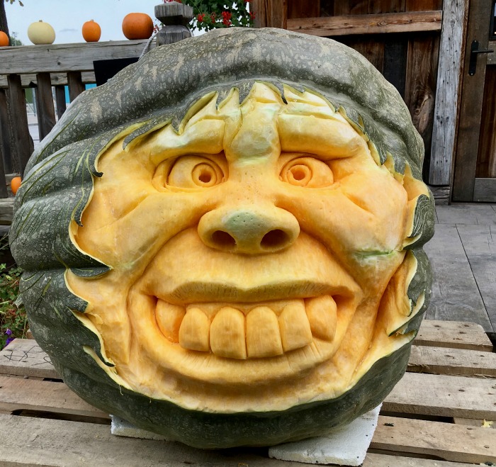Face carved into a green pumpkin