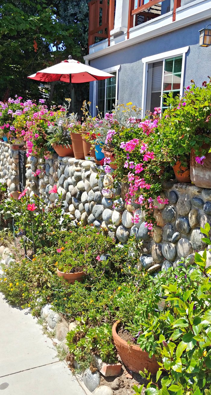 Rock wall with potted plants and flowers