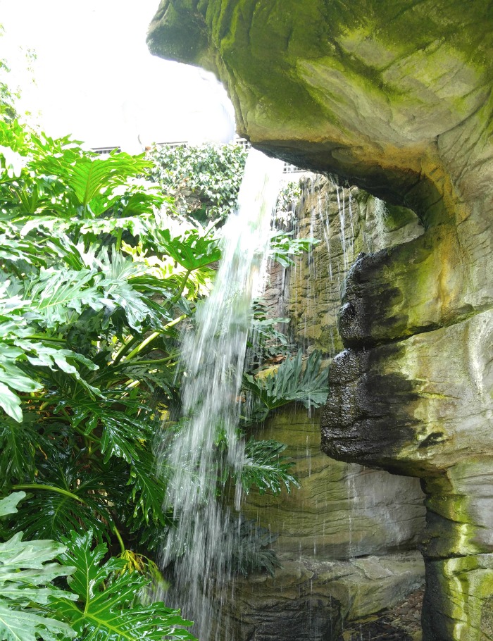 Foelliger-Freimann Botanical Conservatory waterfall