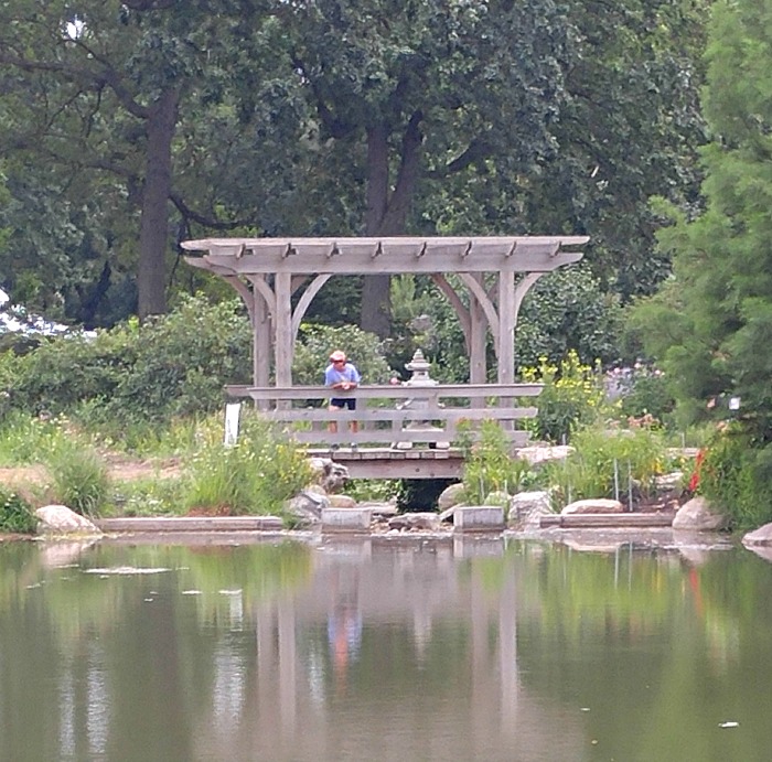Christiana Creek waters in Wellfield Botanic Gardens