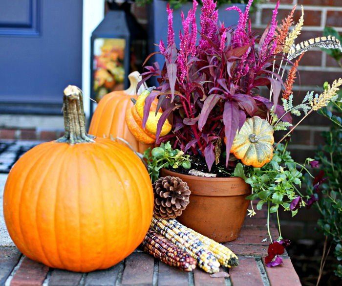 front step autumn decor using pumpkins, celosia, Indian corn and pine cones.