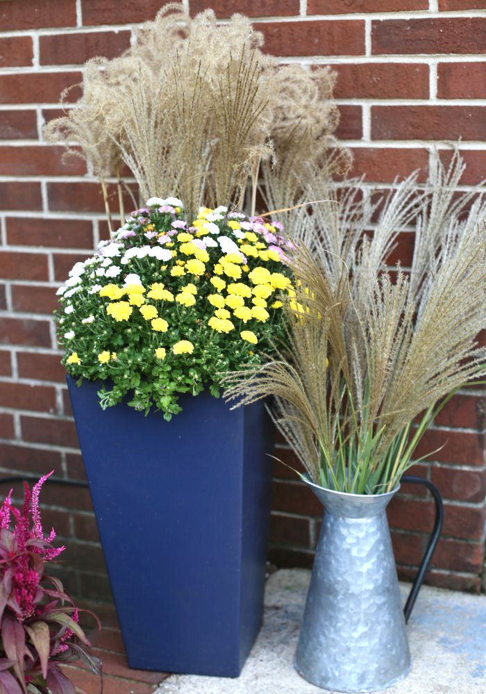 tricolor mum and japanese silver grass in a galvanized jug galvanized tub with Japanese silver grass