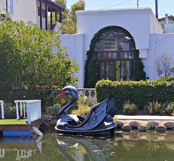 Swan paddle boat
