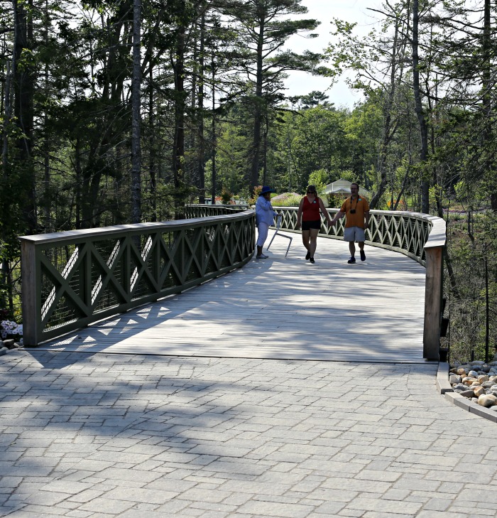 Curved Bridge at the Boothbay Botanic Gardens in Coastal Maine