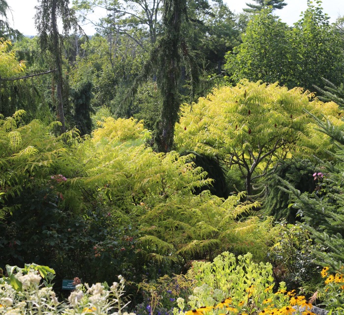 Hillside Garden view