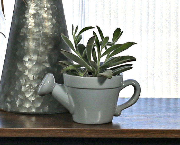 panda plant in a watering can planter