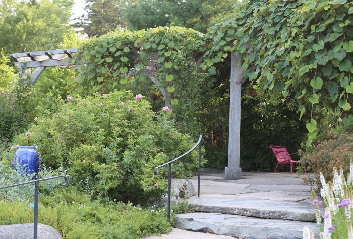 pergola and arbor walkway