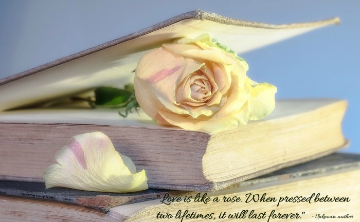 white rose in a book with the saying - "Love is like a rose. When pressed between two lifetimes, it will last forever." -Unknown author