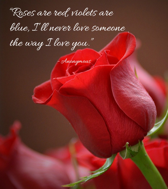 Red rose with the saying “Roses are red, violets are blue, I’ll never love someone the way I love you.” – Anonymous