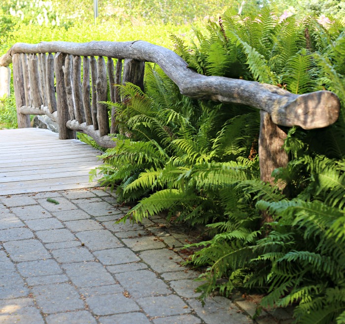 Rustic Bridge - Coastal Maine Botanical Garden in Boothbay Maine