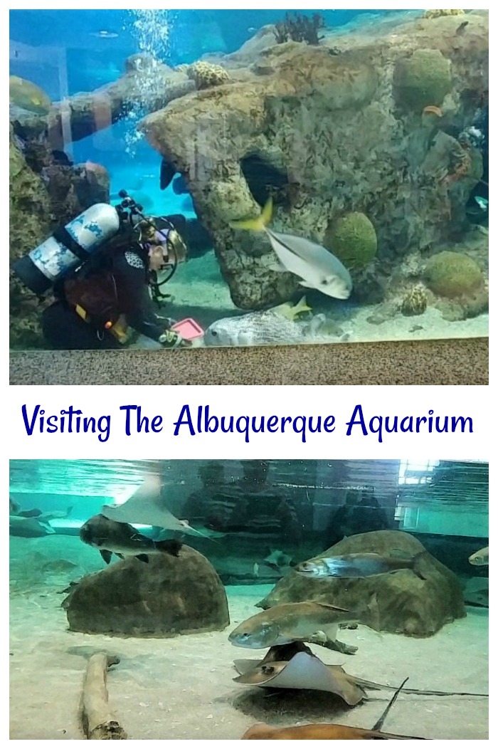 Visiting the ABQ Biopark Aquarium in Albuquerque, New Mexico