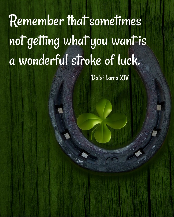 Dalai Lama quote - Remember that sometimes not getting what you want is a wonderful stroke of luck.