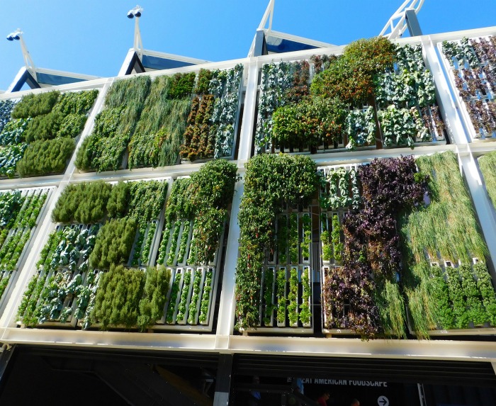 Delhi Metro Living Wall