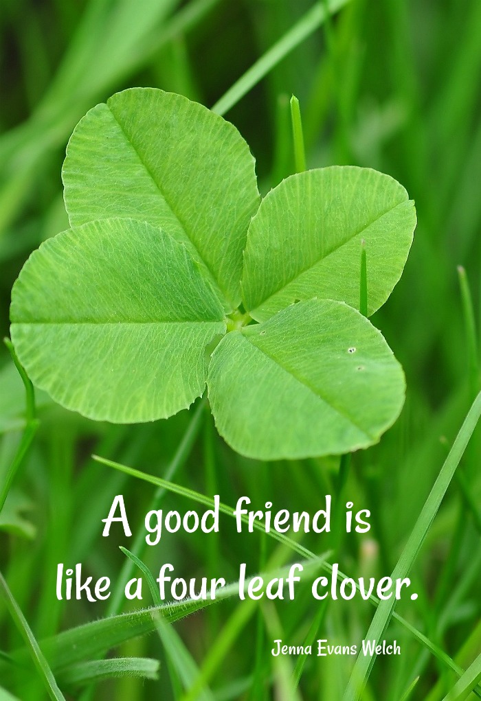Jenna Evans Welch quote - A good friend is like a four leaf clover on a four leaf clover image.