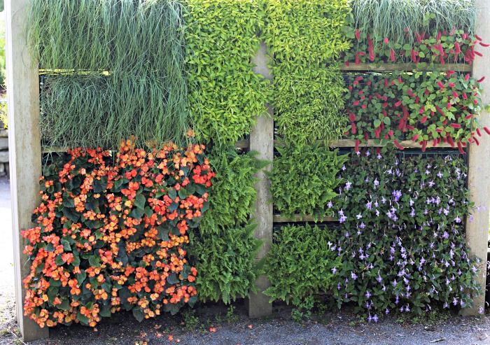Lerner five senses garden in Booth Bay Coastal Gardens