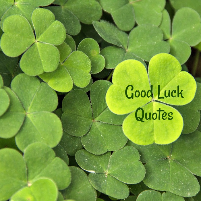 Good Luck Quotes – Best of Luck Wishes – Irish Quotes – Lucky Sayings