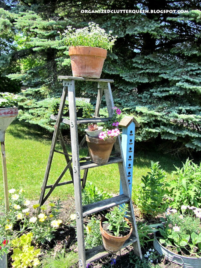 Stepladder planter