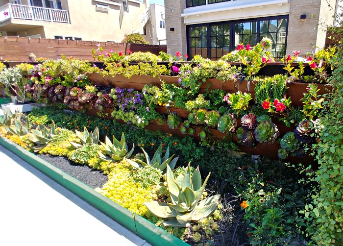 Venice Beach Canal barrier wall garden