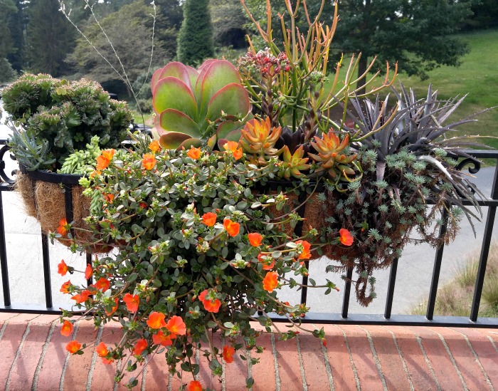 Railing planter