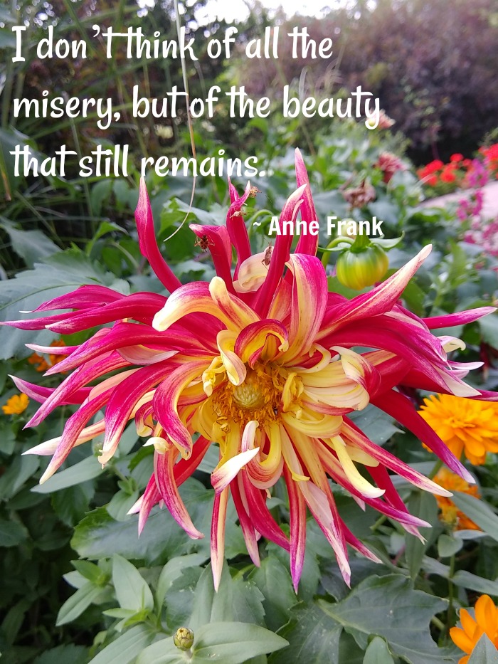 Anne Frank quote about hope