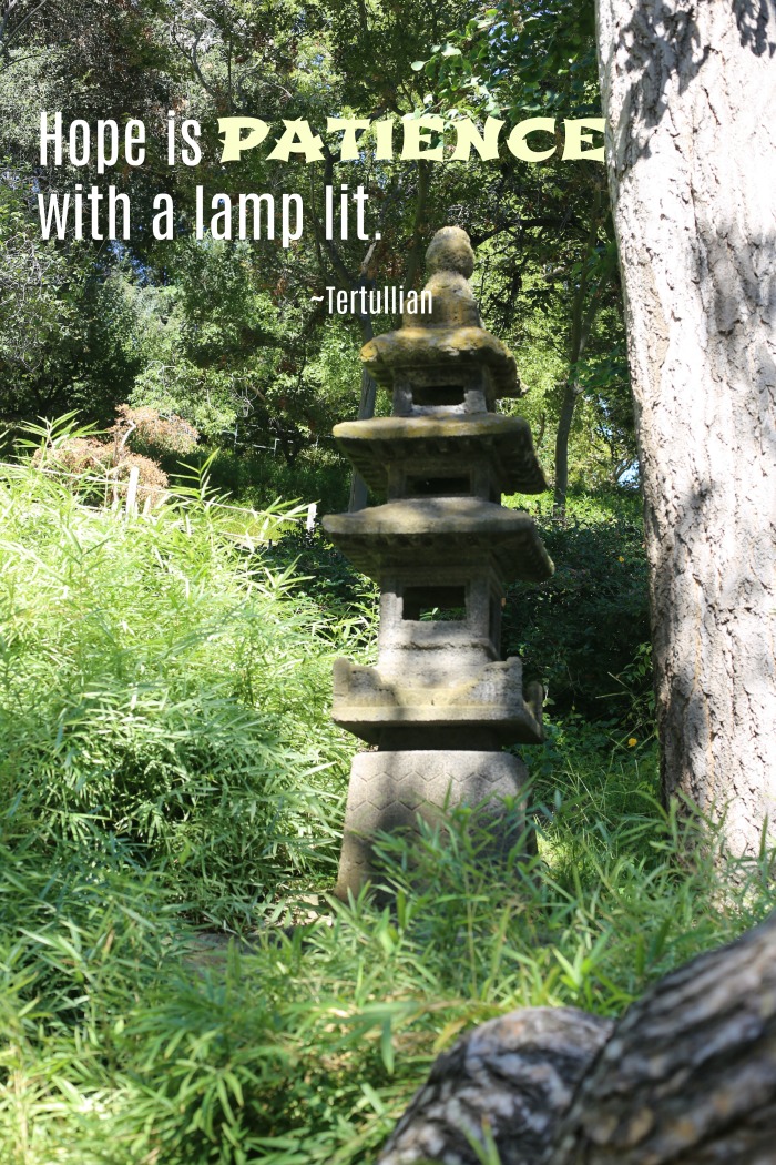 Tertullian message of hope and a Zen statue