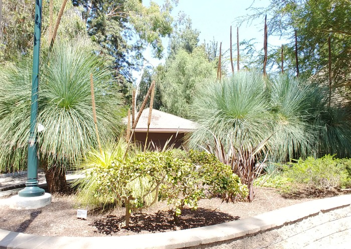 Australia Exhibit at the LA botanical Gardens