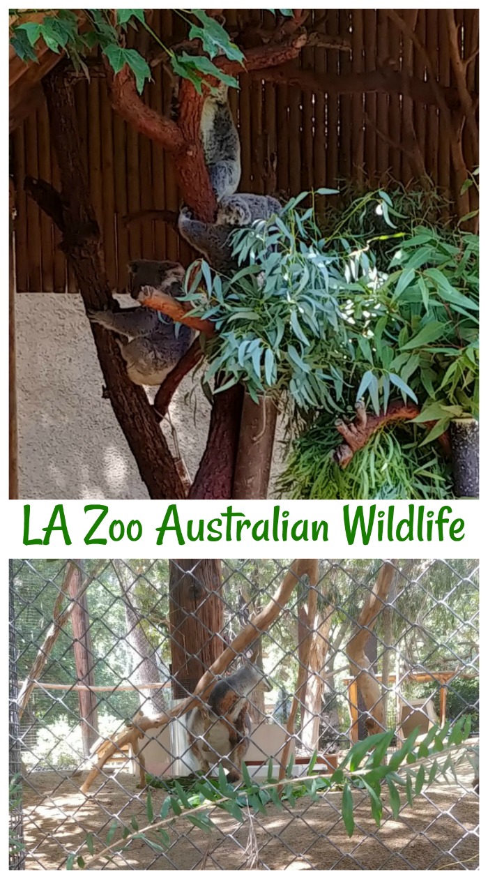 Australian wildlife at the LA Zoo