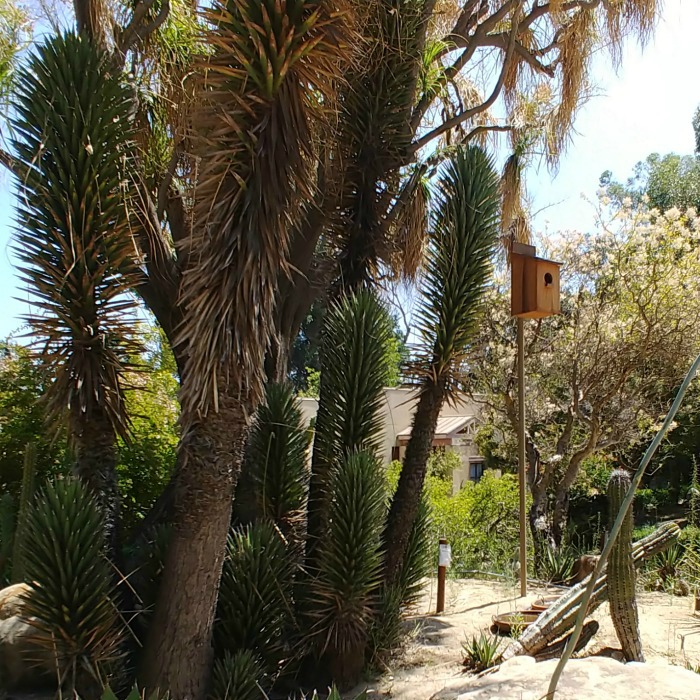 Los Angeles Zoo and Botanical Gardens – Nature and Wildlife in LA