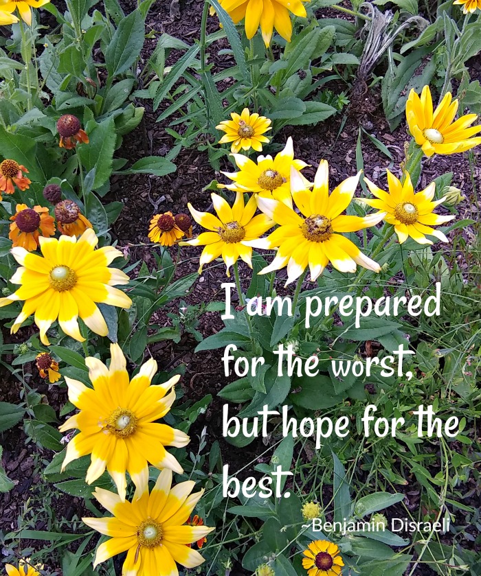 Benjamin Disraeli Hope Quote