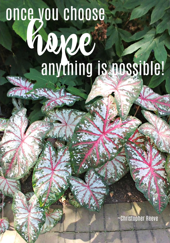 Christopher Reeve Quote about hope