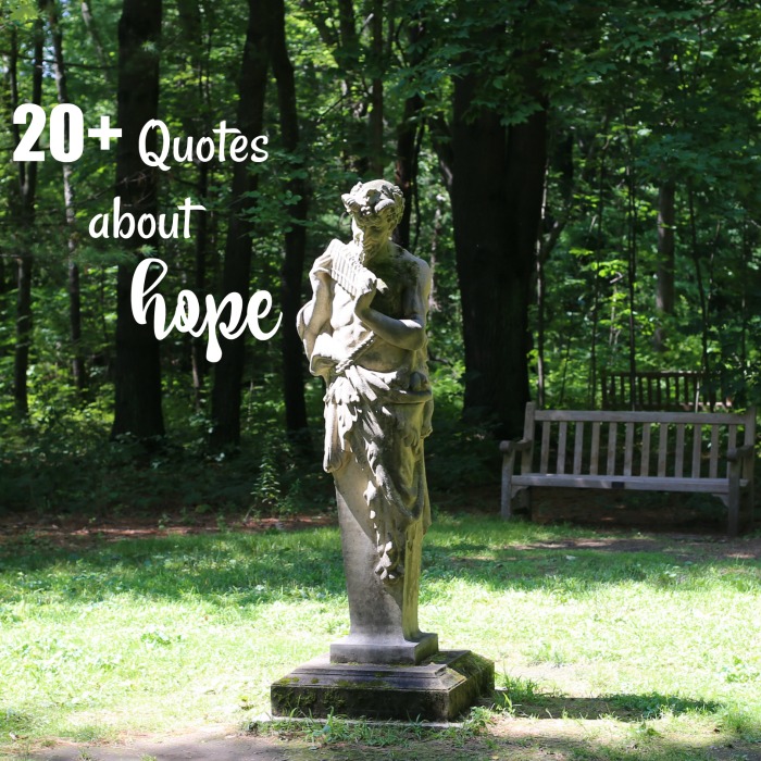Inspirational Quotes about Hope – Motivation Sayings with Flower Photos